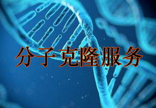 技術(shù)服務(wù)行業(yè)資訊 創(chuàng)新驅(qū)動(dòng)與市場(chǎng)趨勢(shì)